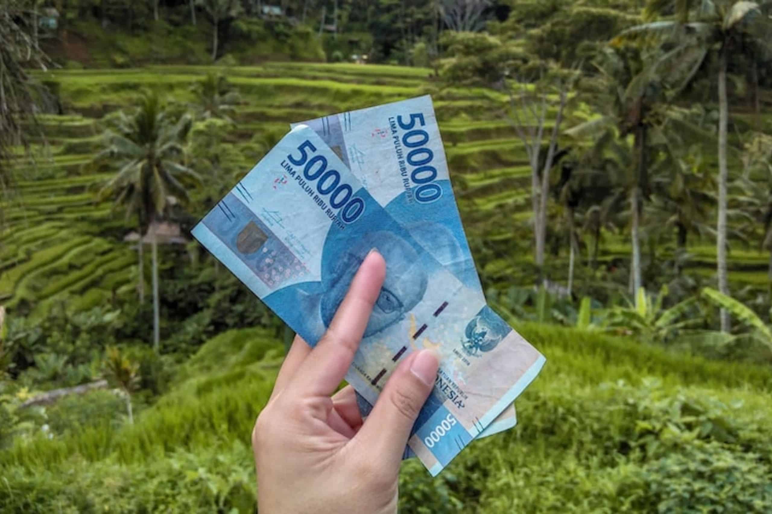 Two fifty thousand notes held up in front of Ubud rice fields