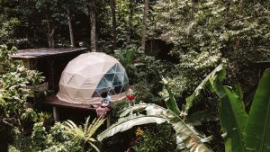 Bali Jungle Camping
